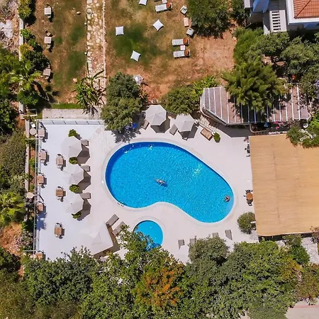 Hotel Olea Nova 3*