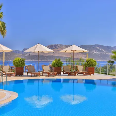 Hotel Olea Nova