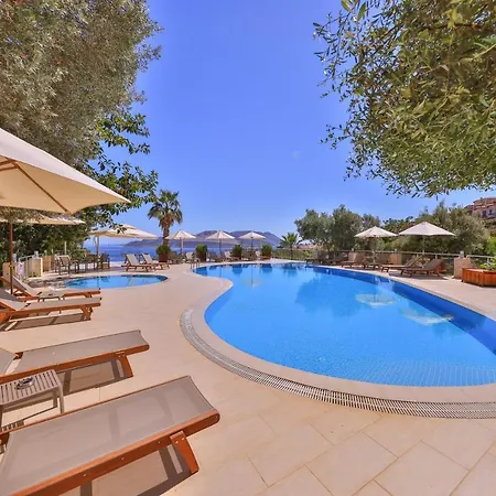 Hotel Olea Nova 3*
