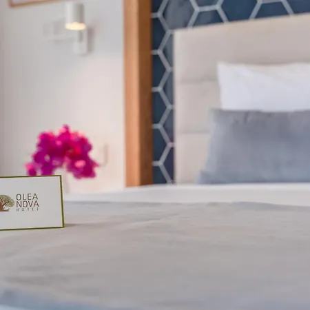 Hotel Olea Nova
