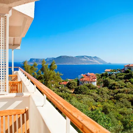 Hotel Olea Nova 3*