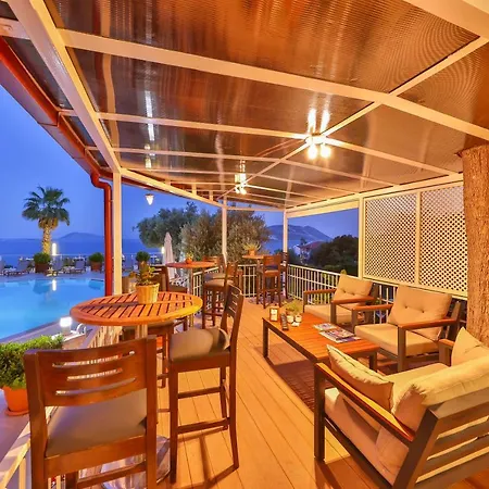Olea Nova 3* Каш