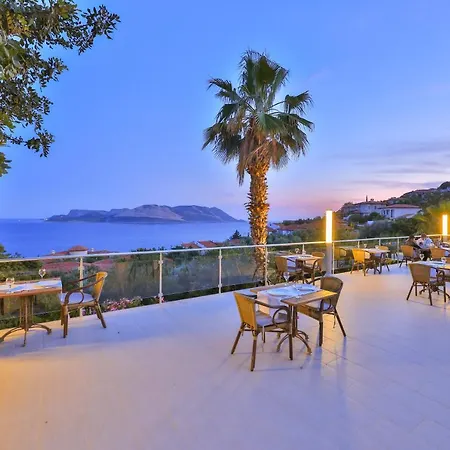 Olea Nova 3* Каш