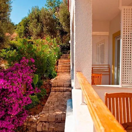 Olea Nova 3* Каш