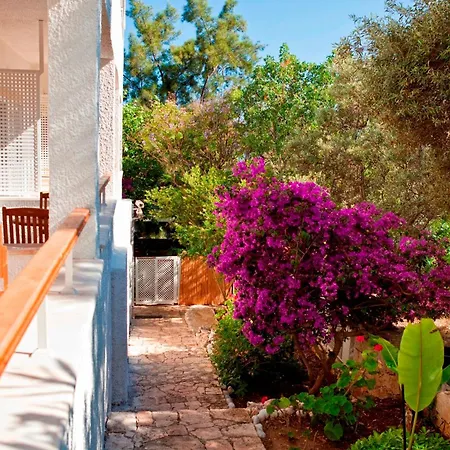 Olea Nova 3* Каш