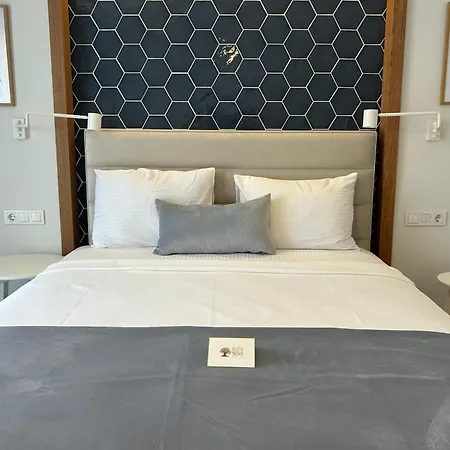 Olea Nova 3* Каш