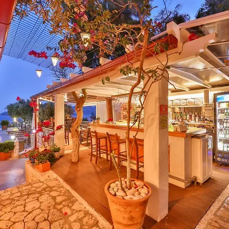 Hotel Olea Nova
